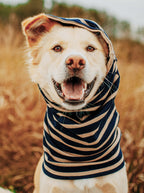 MB SNOOD