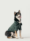 STAINWAY SHIRT - GREEN 1 - MiniPaw Luxe