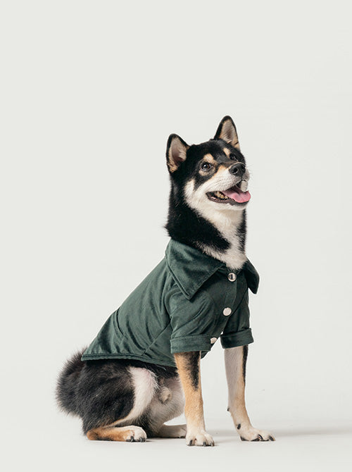 STAINWAY SHIRT - GREEN 1 - MiniPaw Luxe