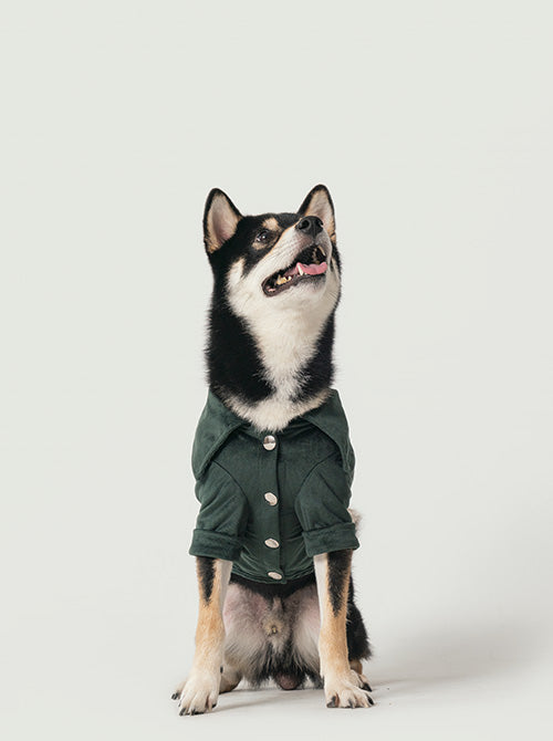 STAINWAY SHIRT - GREEN 3 - MiniPaw Luxe