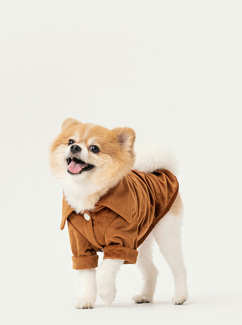 STAINWAY SHIRT - ORANGE 1 - MiniPaw Luxe