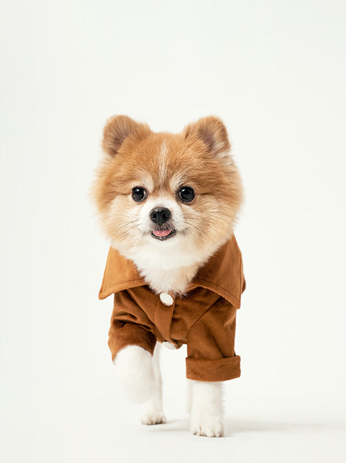 STAINWAY SHIRT - ORANGE 4 - MiniPaw Luxe