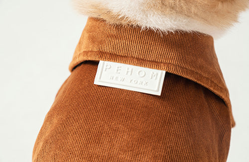 STAINWAY SHIRT - ORANGE 5 - MiniPaw Luxe