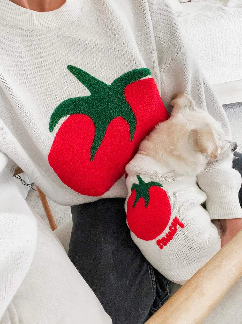 Saucy Dog Sweater 1 - MiniPaw Luxe