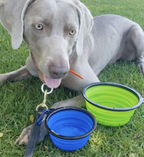 Mr. Peanut's Collapsible Silicone Pet Travel Bowls - 12oz