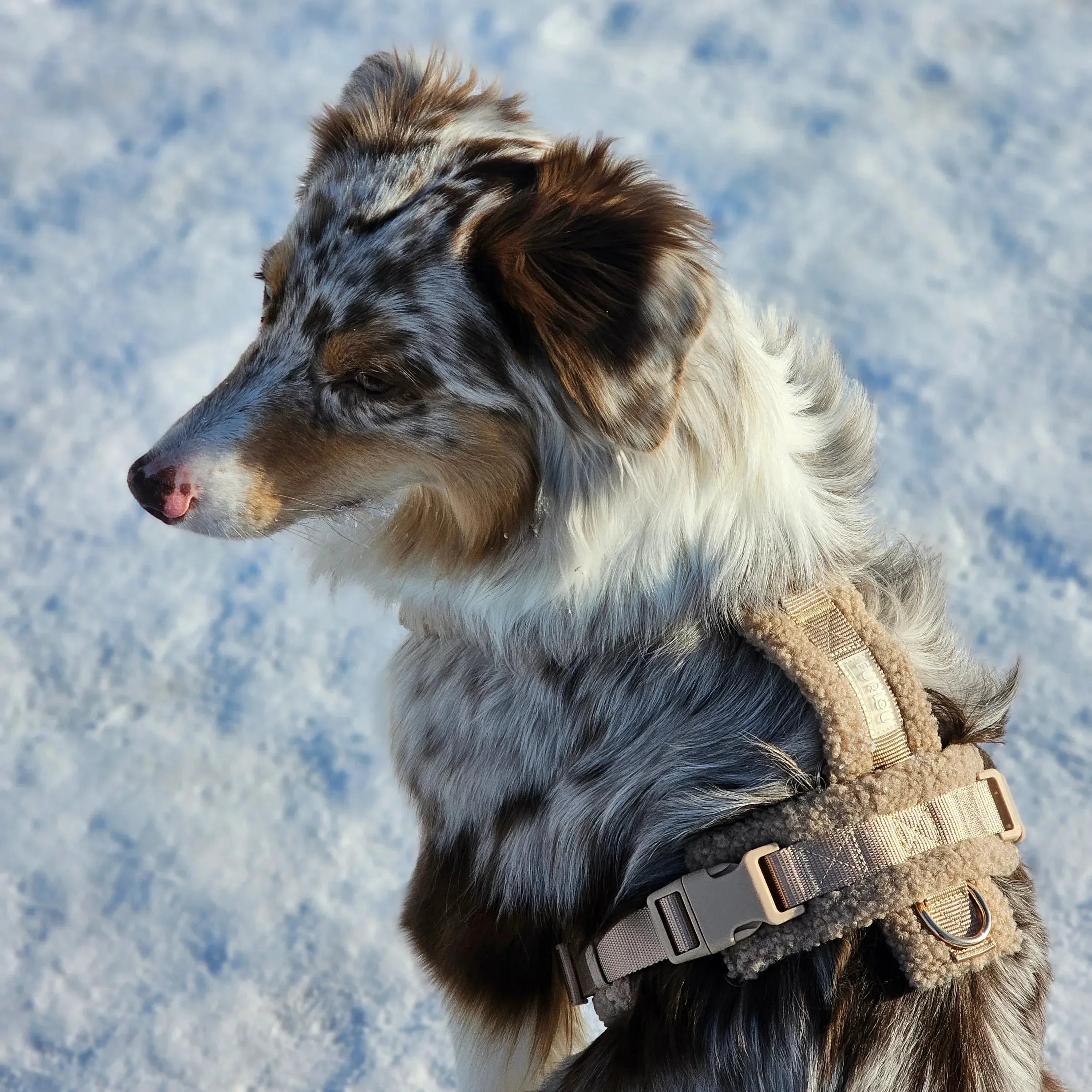 Sherpa Harness | Sand 3 - MiniPaw Luxe