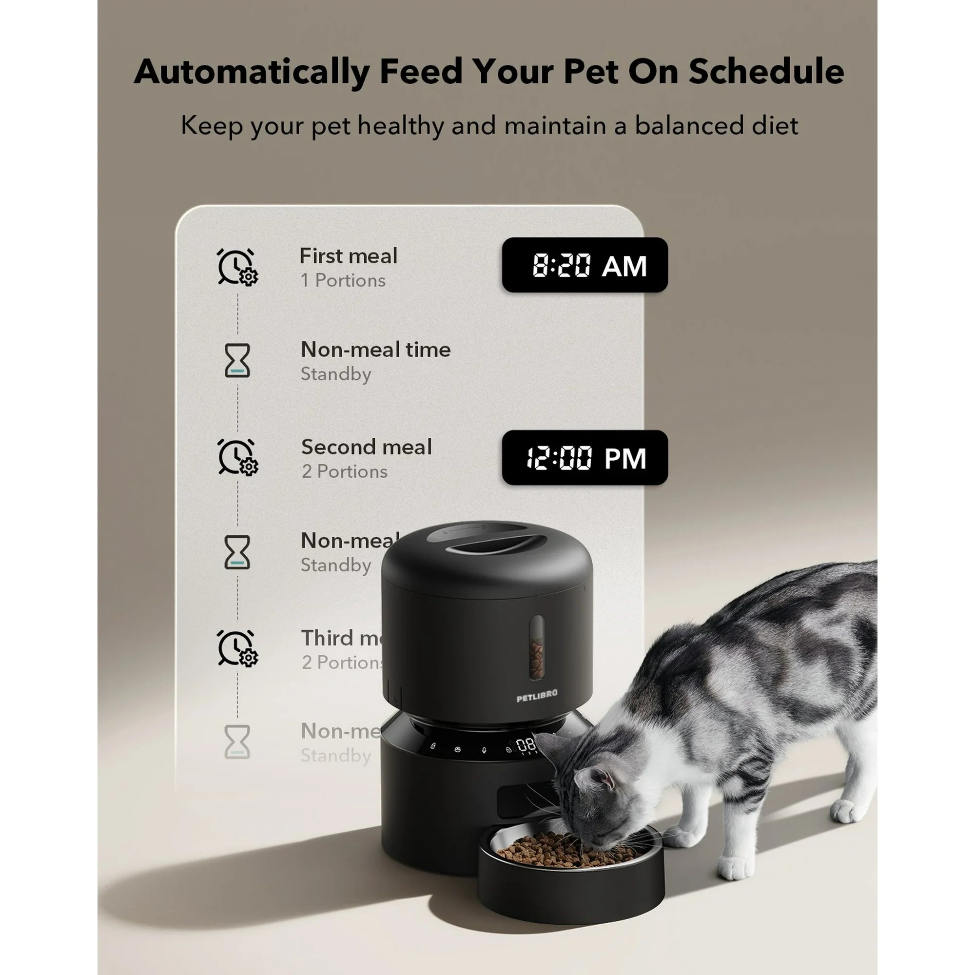 Smart Timed Automatic Pet Food Dispenser