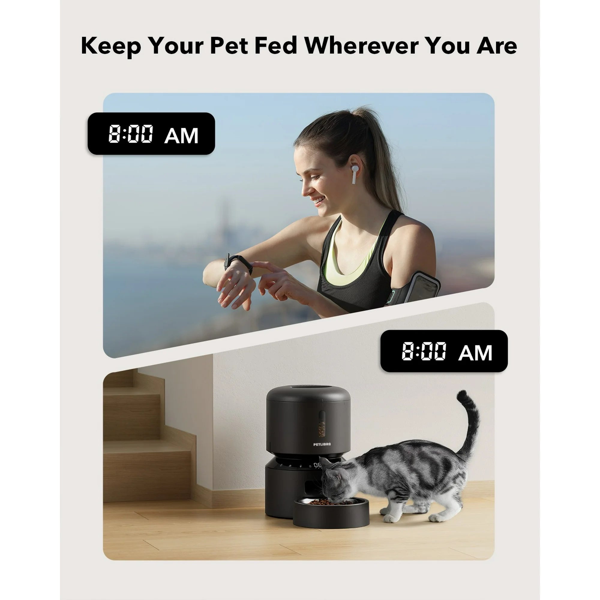 Smart Timed Automatic Pet Food Dispenser