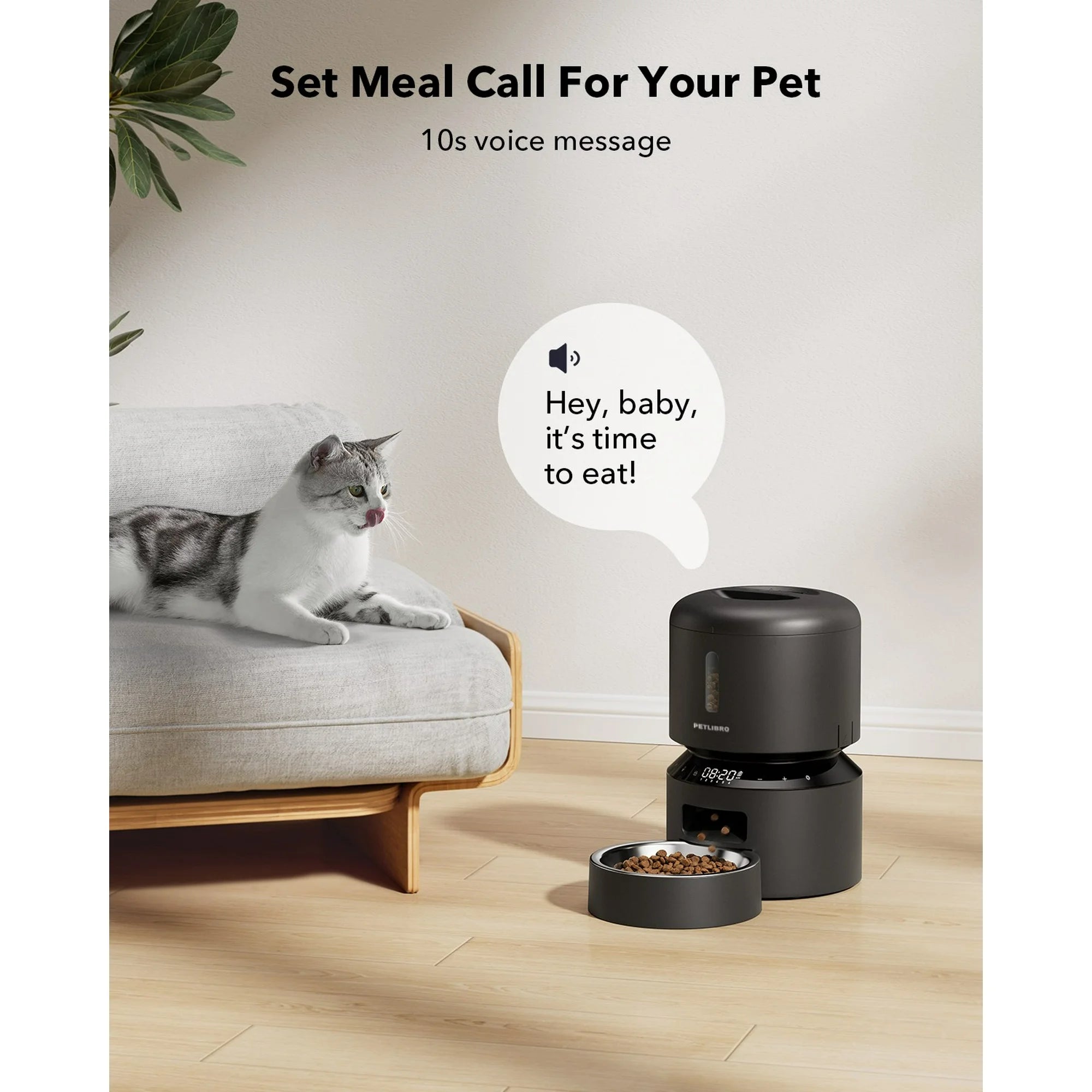 Smart Timed Automatic Pet Food Dispenser