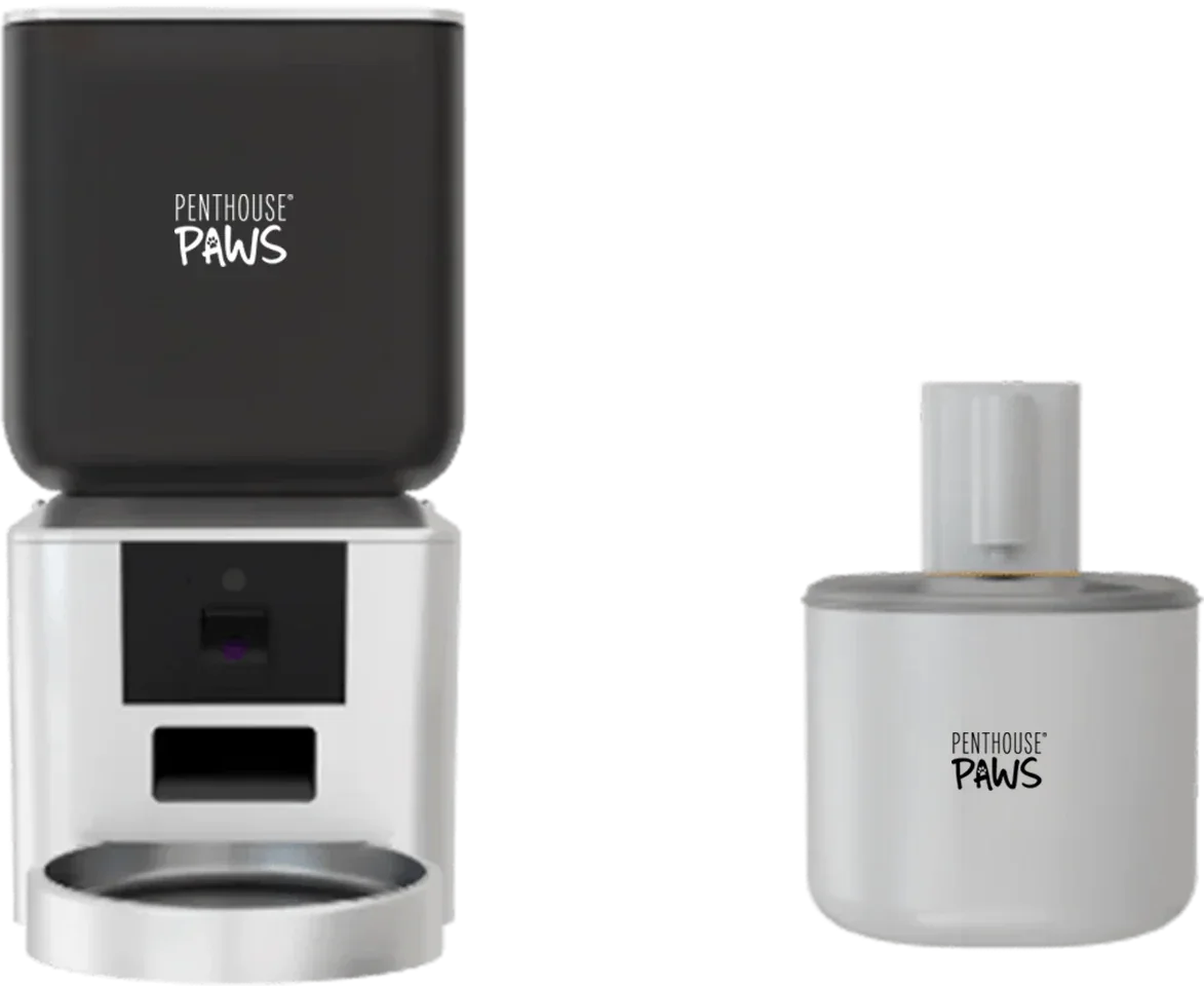 Smart Maxx HD Feeder & Smart Wireless Water Fountain 4 - MiniPaw Luxe