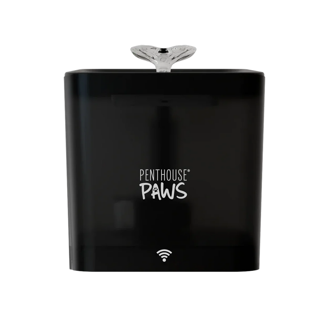 Smart Water Fountain 2 - MiniPaw Luxe