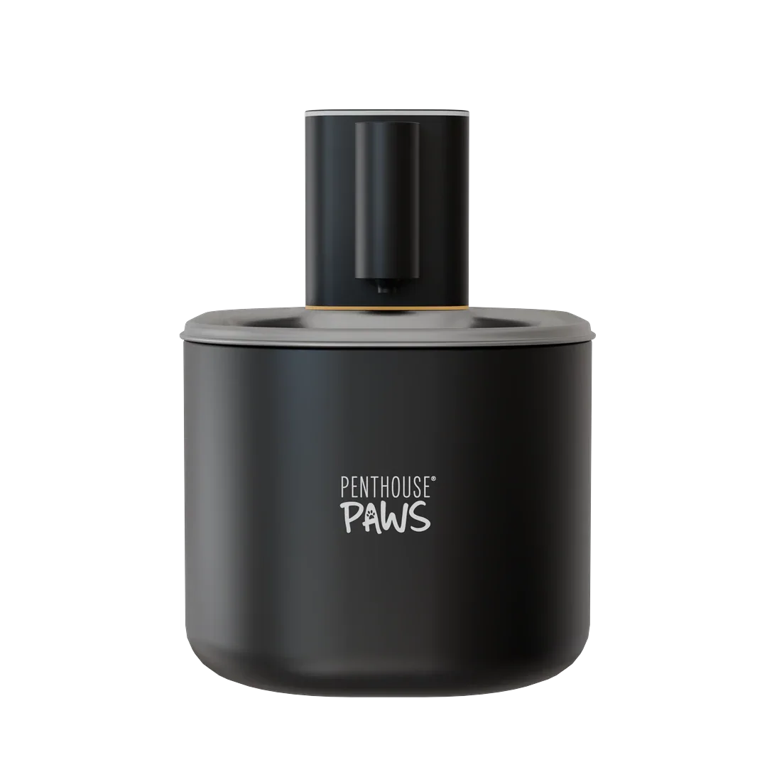 Smart Wireless Pet Water Fountain 6 - MiniPaw Luxe