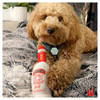 Smirruff Ice 7 - MiniPaw Luxe