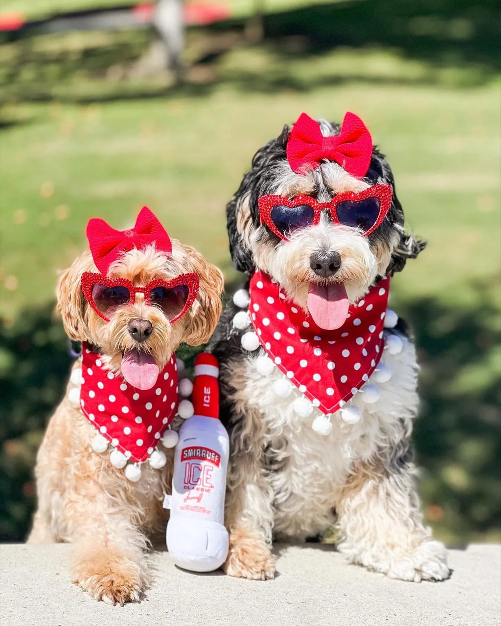 Smirruff Ice 9 - MiniPaw Luxe