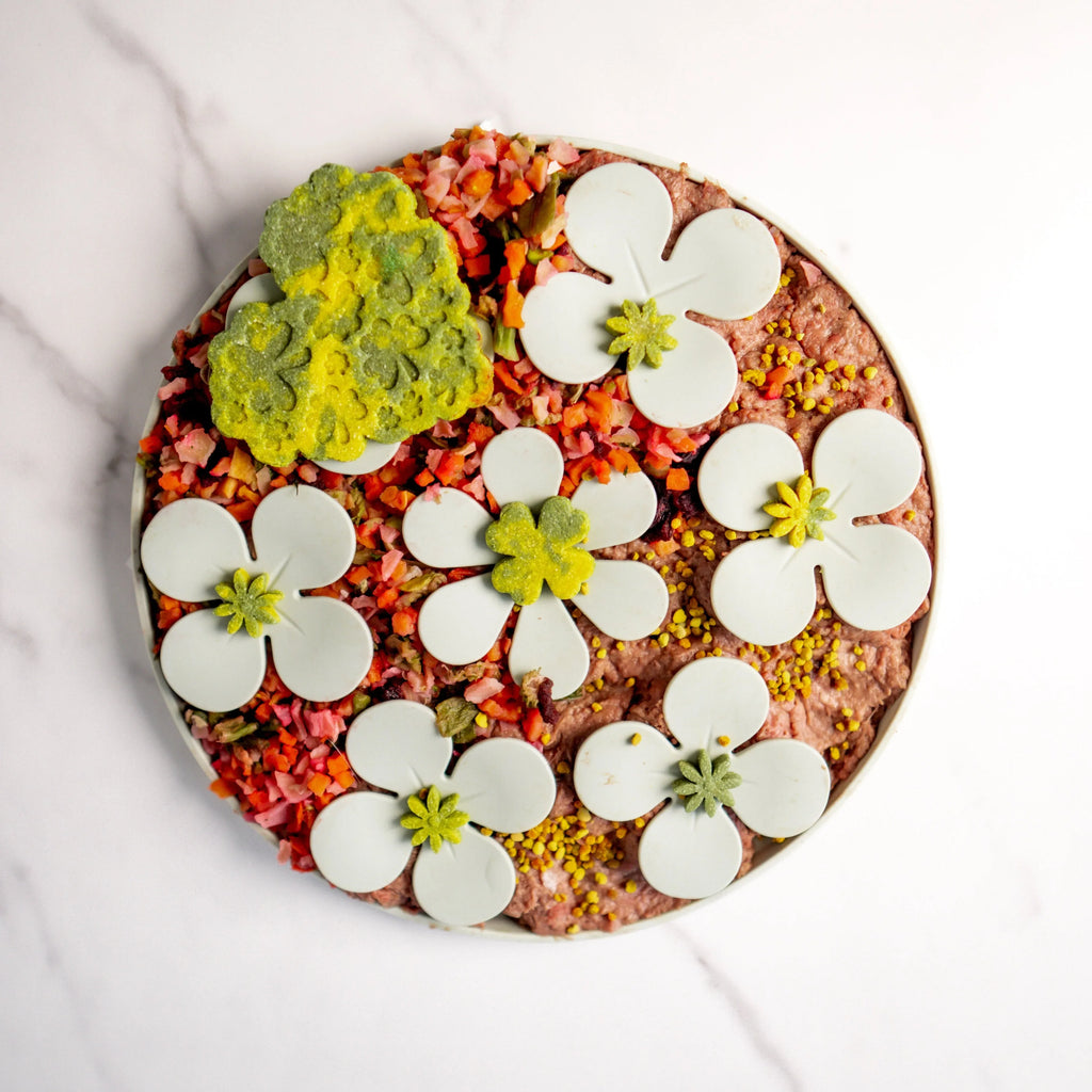 Snuffle Mat Flowers 1 - MiniPaw Luxe