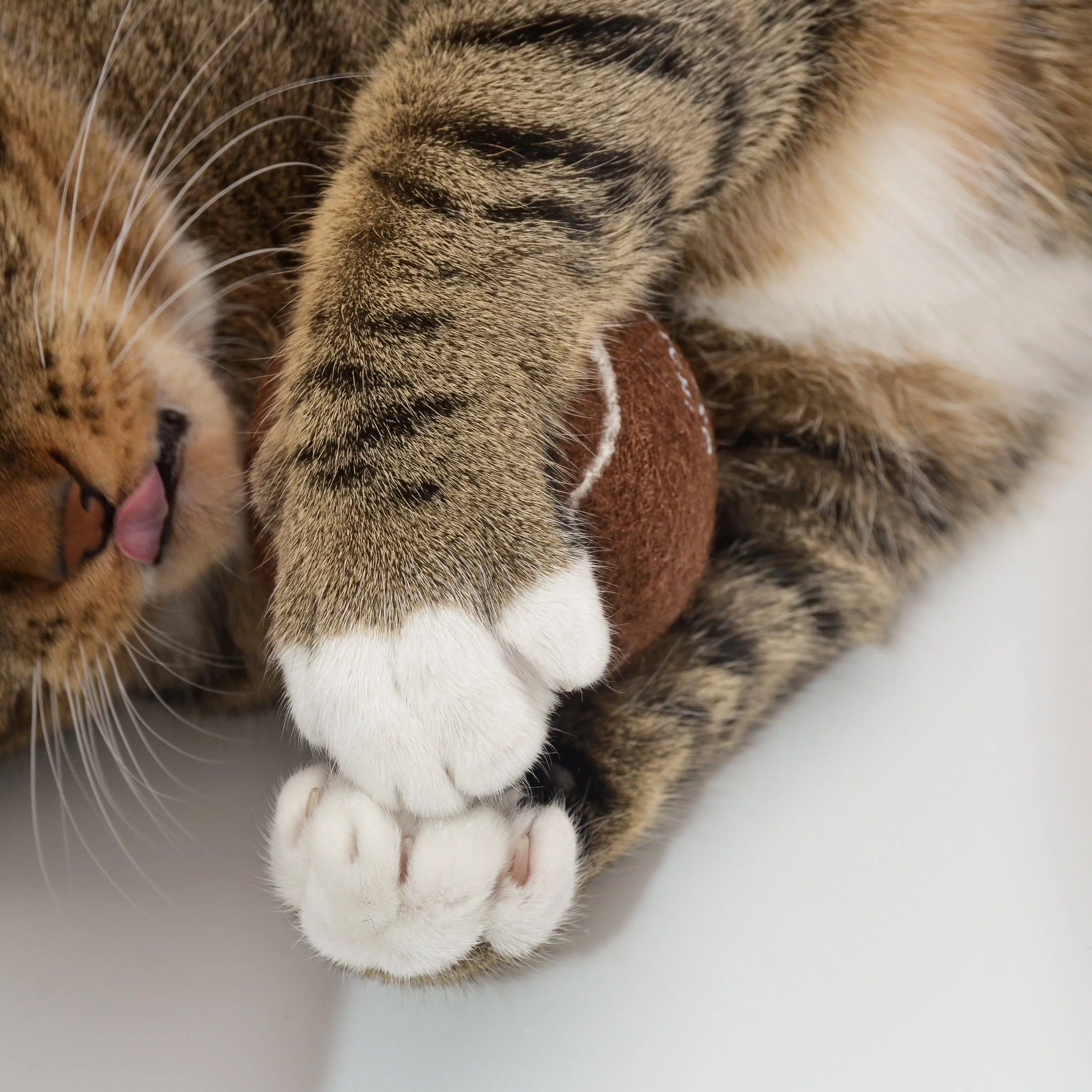 So Fetch! Tennis Ball | Brune 3 - MiniPaw Luxe