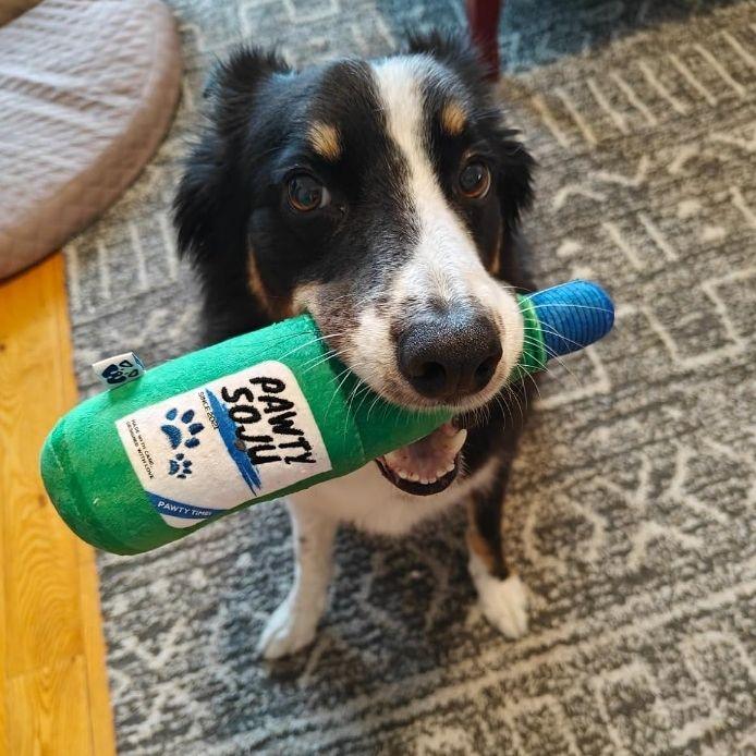 Soju 7 - MiniPaw Luxe