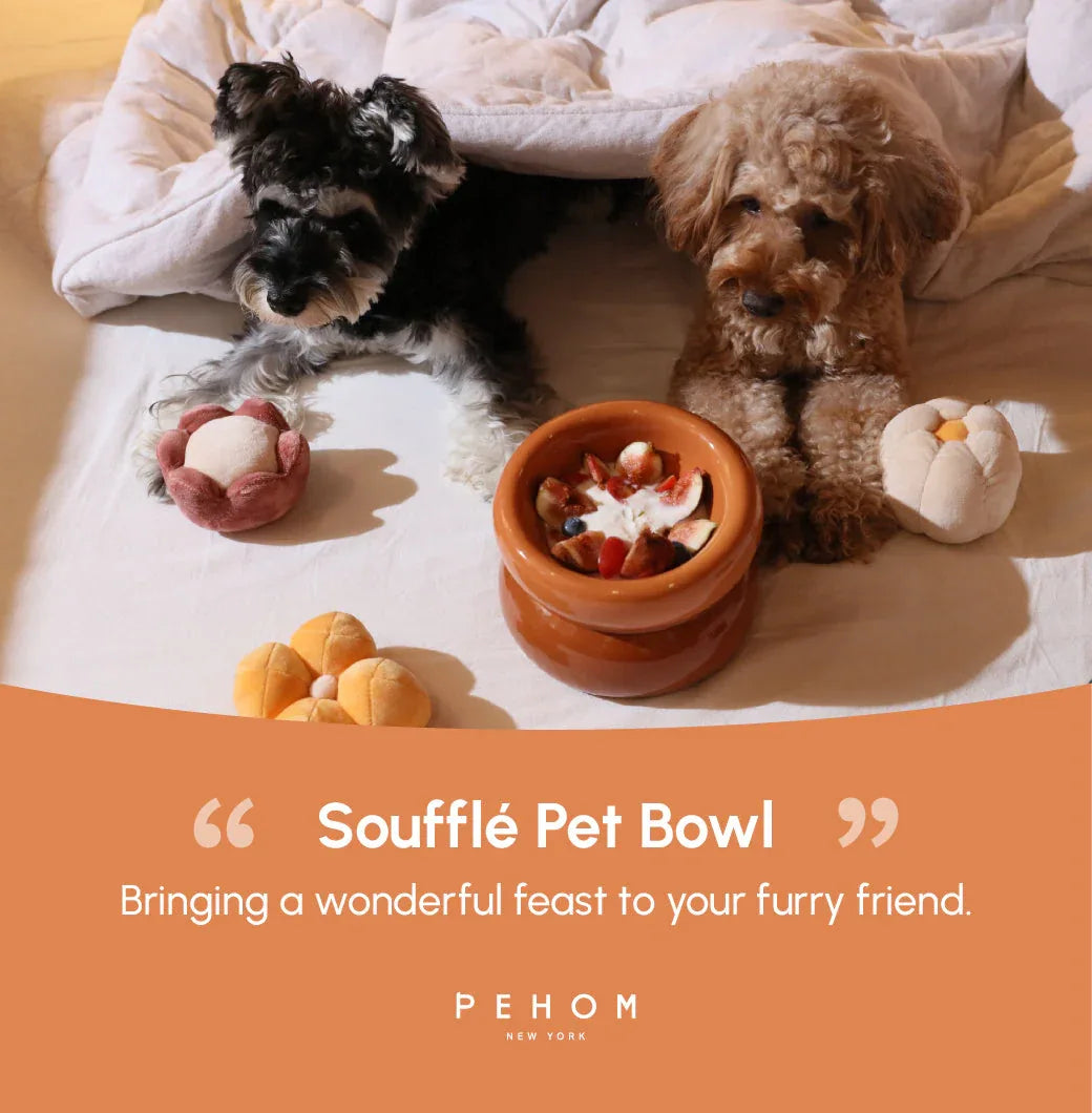 Soufflé Pet Bowl | Amber Orange 13 - MiniPaw Luxe