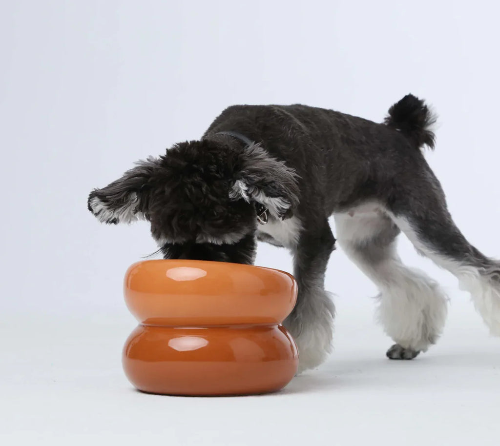 Soufflé Pet Bowl | Amber Orange 2 - MiniPaw Luxe