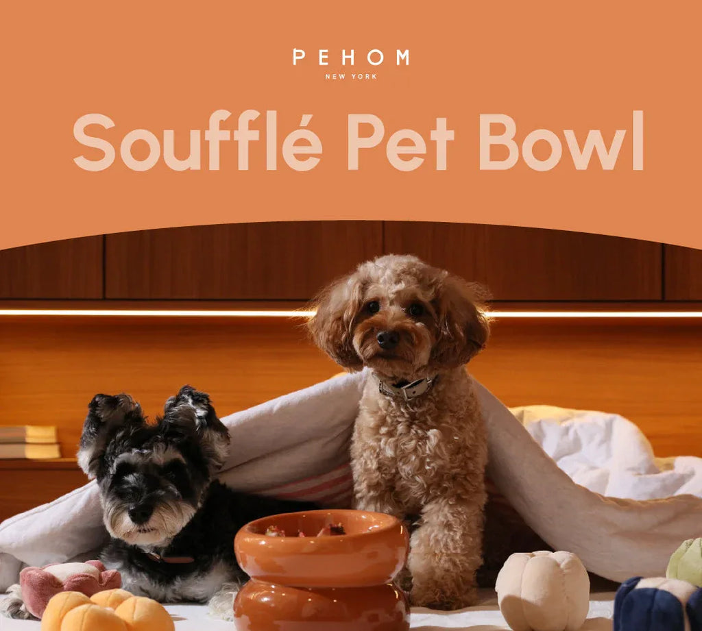 Soufflé Pet Bowl | Amber Orange 6 - MiniPaw Luxe