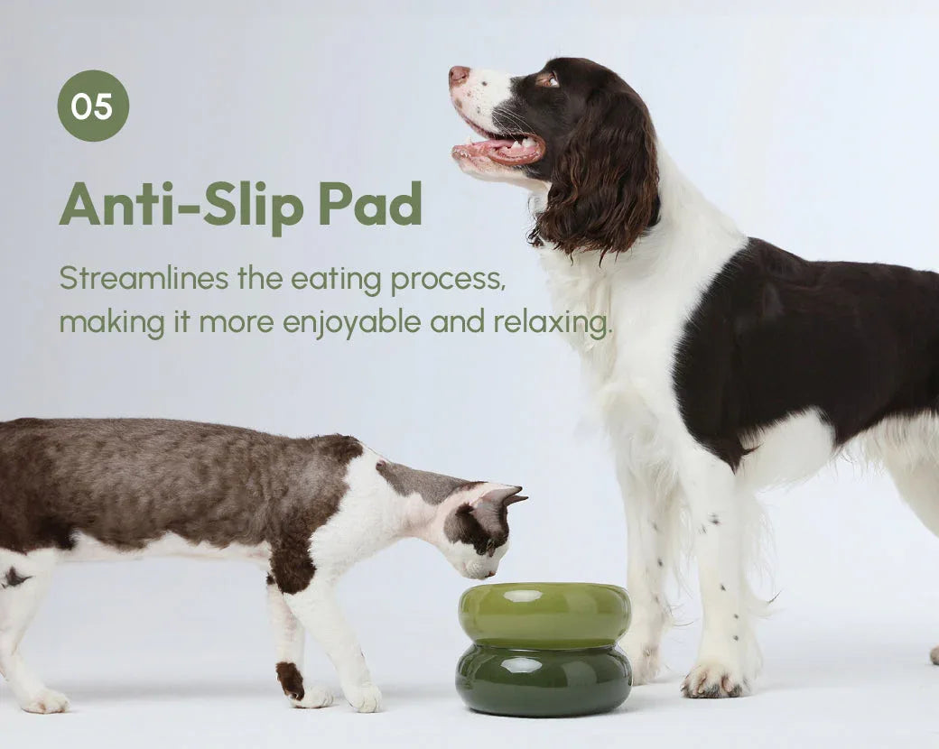 Soufflé Pet Bowl | Avocado Green 12 - MiniPaw Luxe