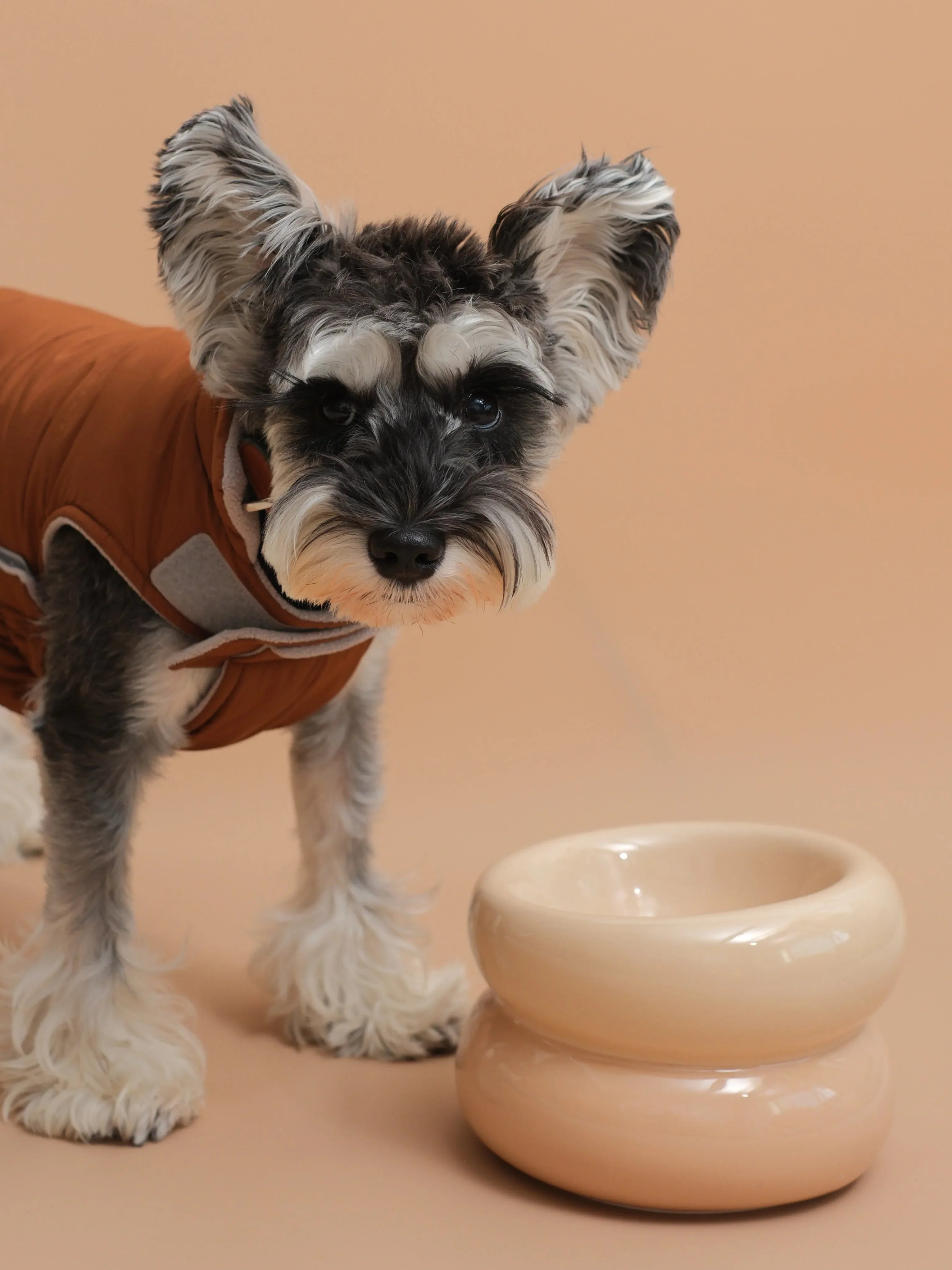 Soufflé Pet Bowl | Cream Beige 1 - MiniPaw Luxe