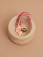 Soufflé Pet Bowl | Cream Beige 3 - MiniPaw Luxe