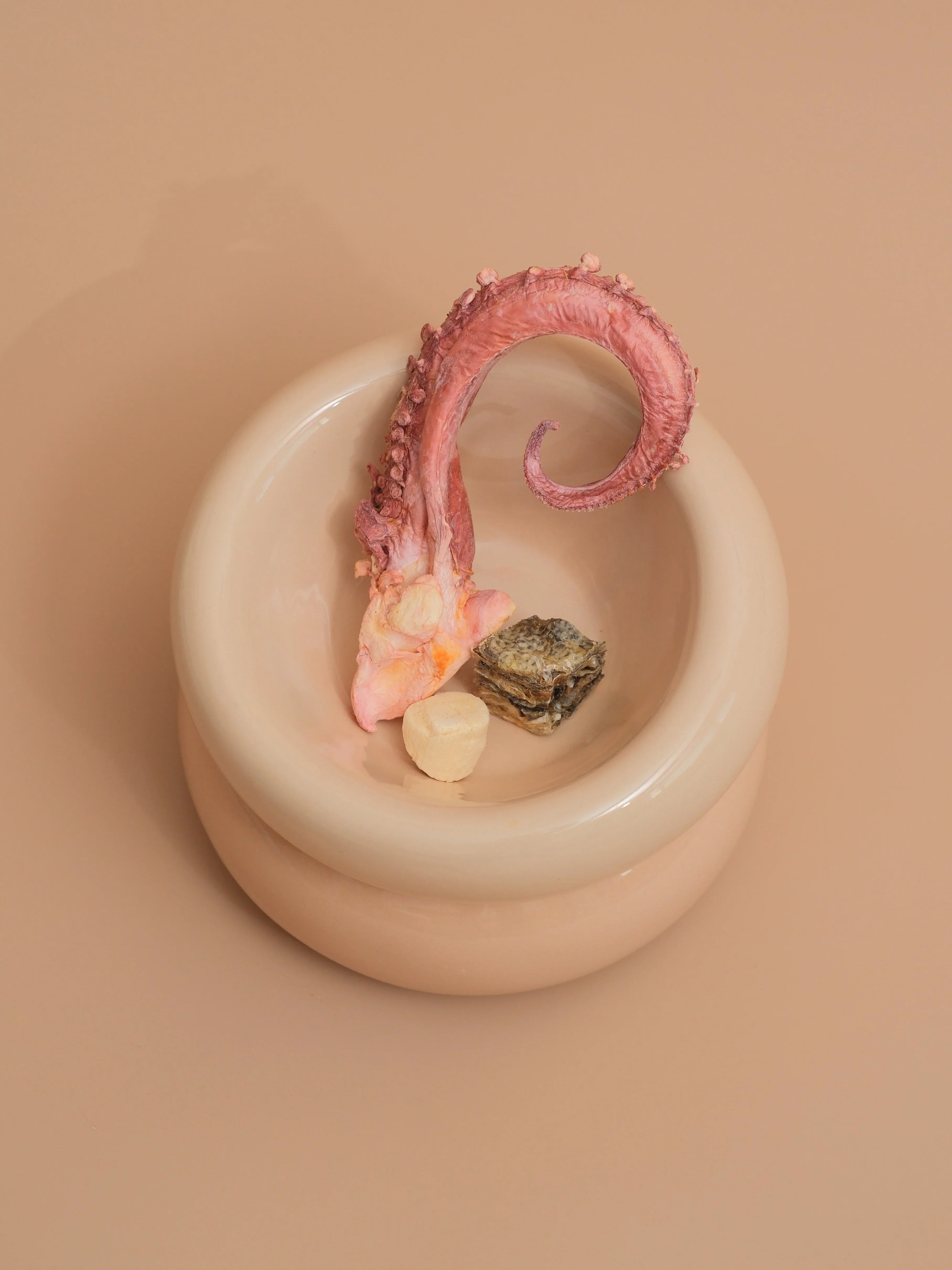 Soufflé Pet Bowl | Cream Beige 3 - MiniPaw Luxe