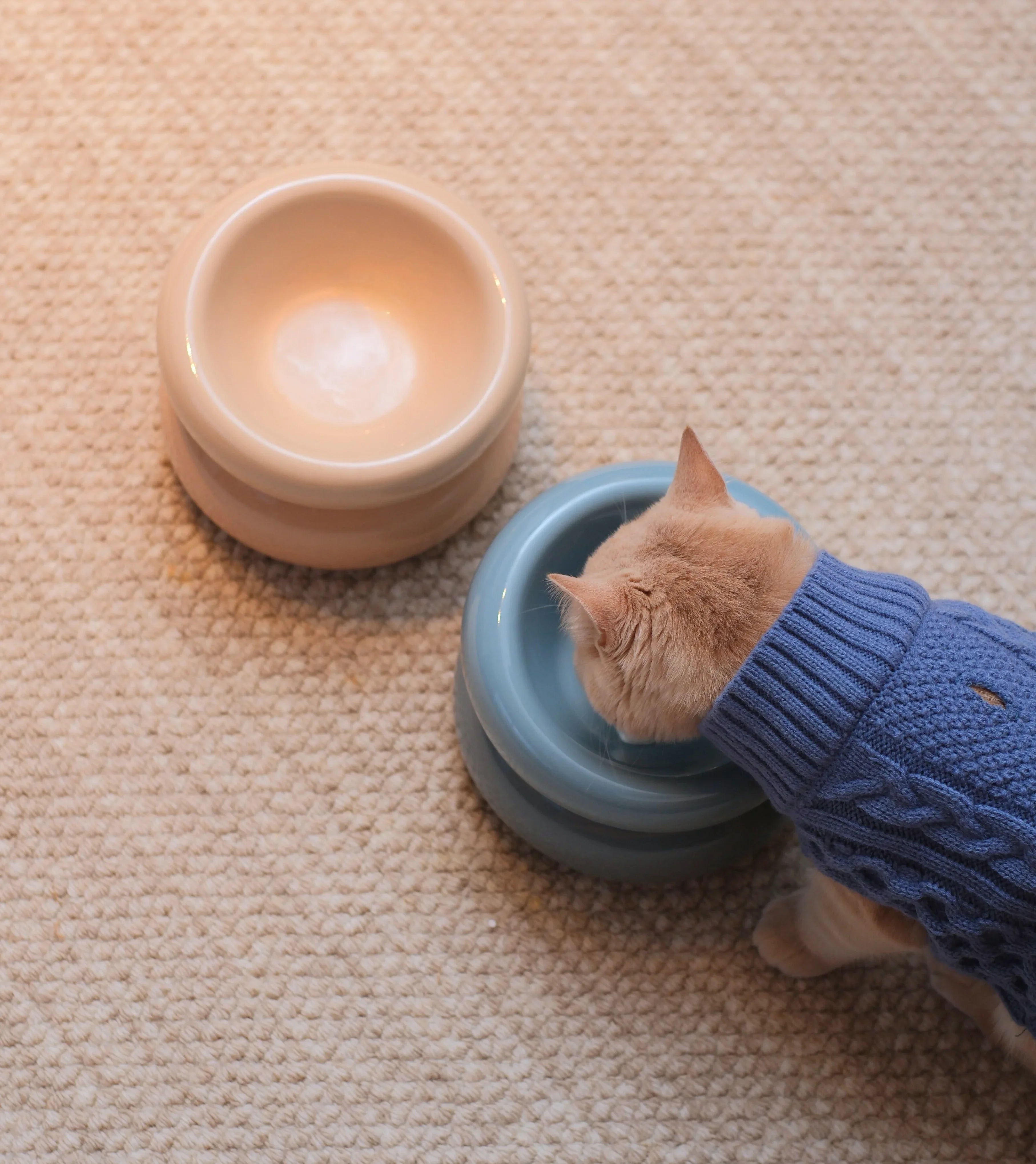 Soufflé Pet Bowl | Cream Beige 4 - MiniPaw Luxe