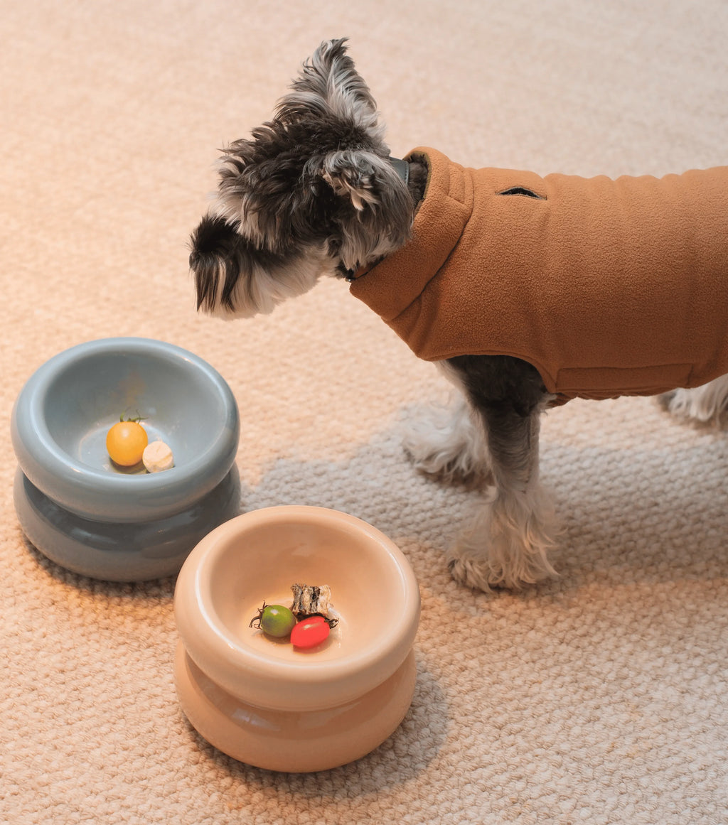 Soufflé Pet Bowl | Cream Beige 5 - MiniPaw Luxe