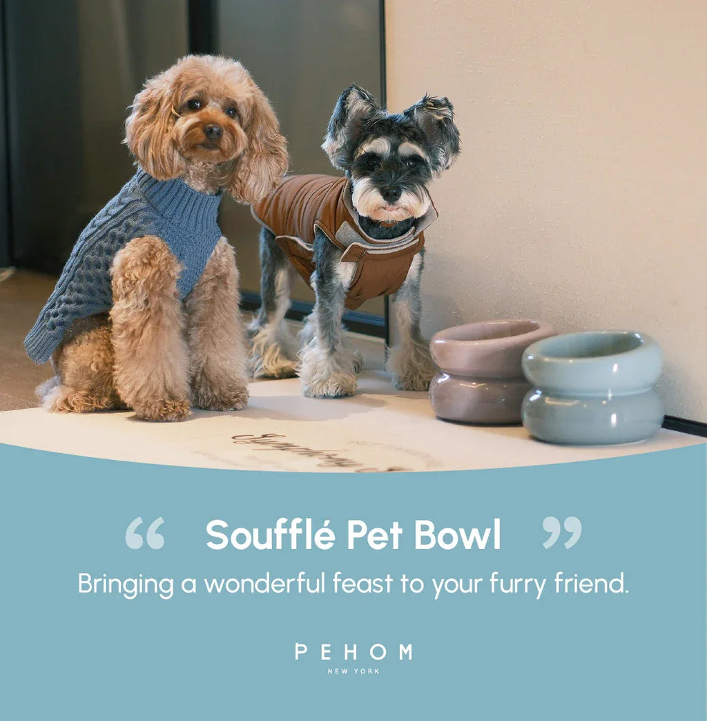 Soufflé Pet Bowl | Frozen Blue 15 - MiniPaw Luxe