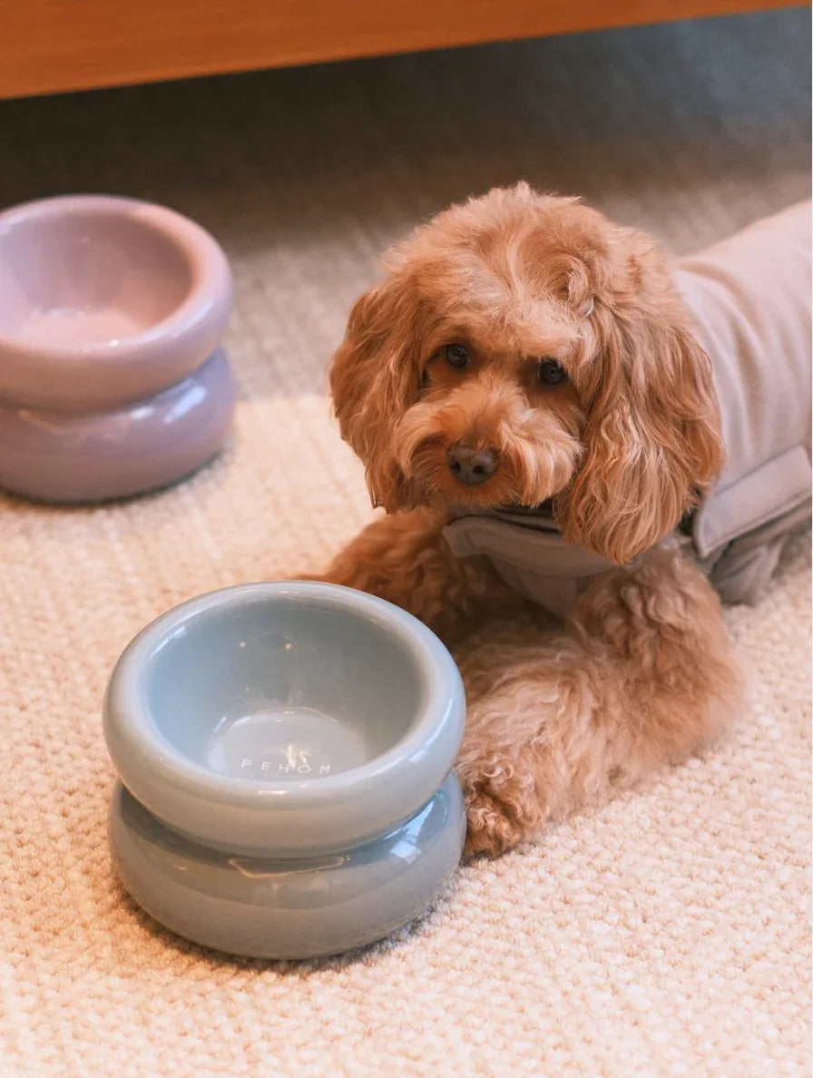 Soufflé Pet Bowl | Frozen Blue 1 - MiniPaw Luxe