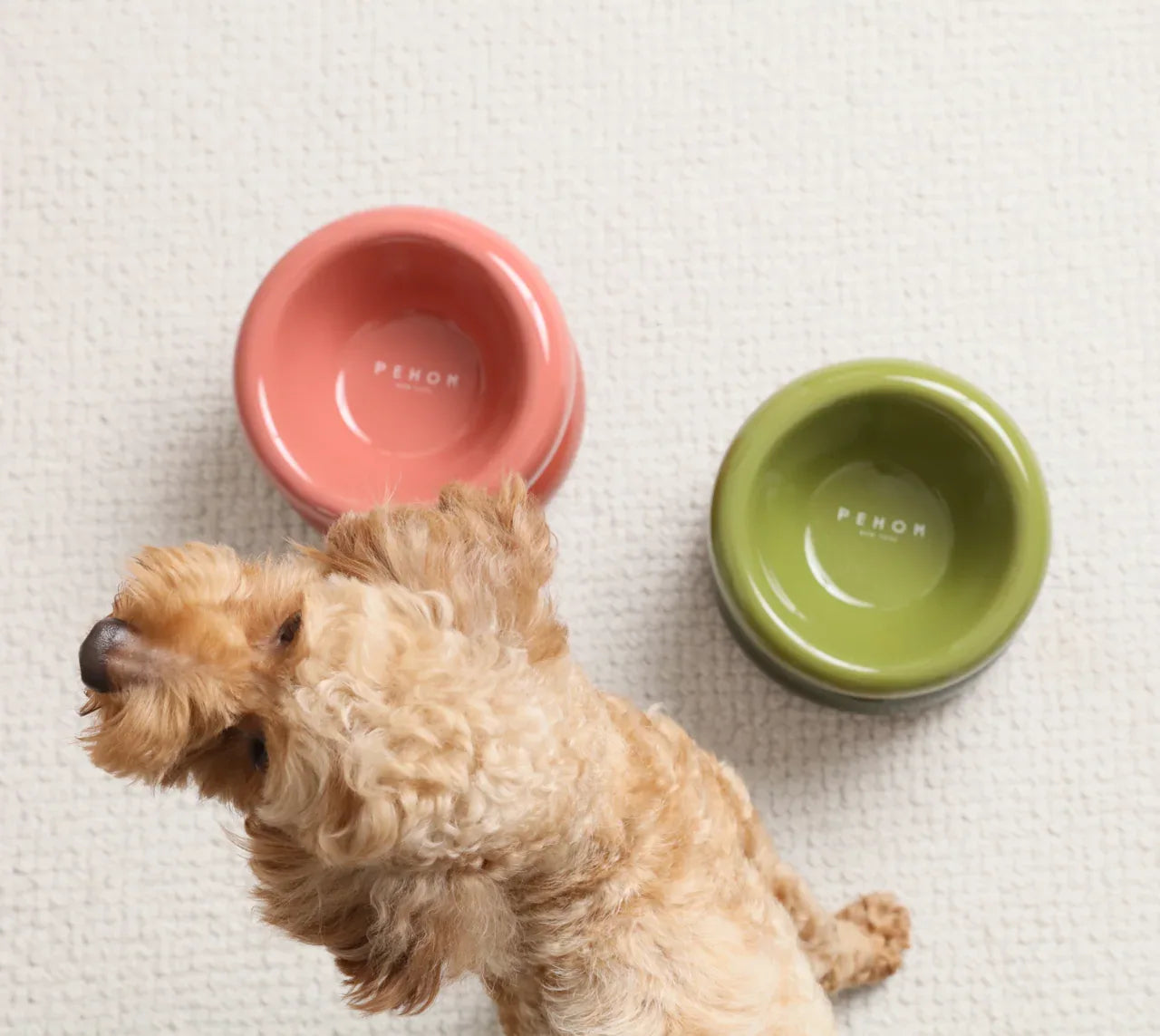 Soufflé Pet Bowl | Purple 17 - MiniPaw Luxe