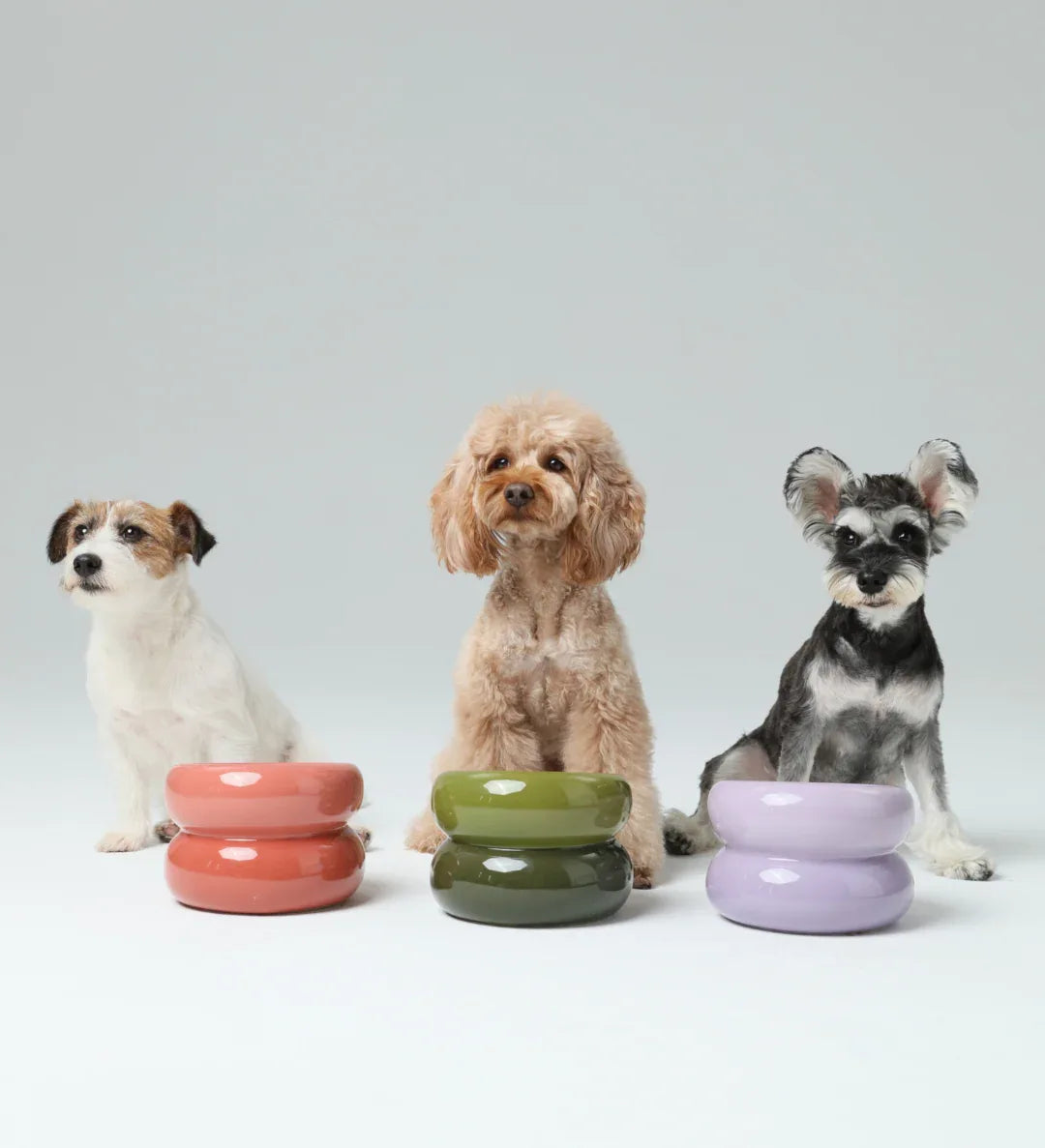 Soufflé Pet Bowl | Purple 18 - MiniPaw Luxe