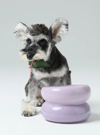 Soufflé Pet Bowl | Purple 1 - MiniPaw Luxe