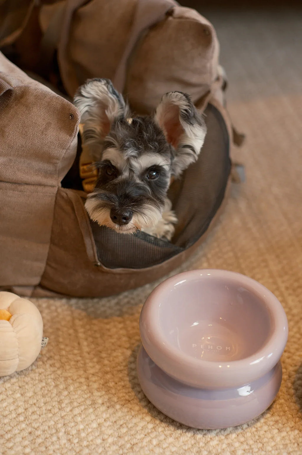 Soufflé Pet Bowl | Purple 2 - MiniPaw Luxe