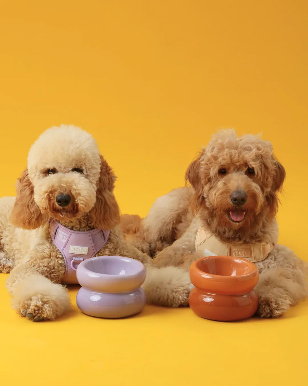 Soufflé Pet Bowl | Purple 3 - MiniPaw Luxe