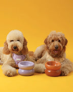 Soufflé Pet Bowl | Purple 3 - MiniPaw Luxe