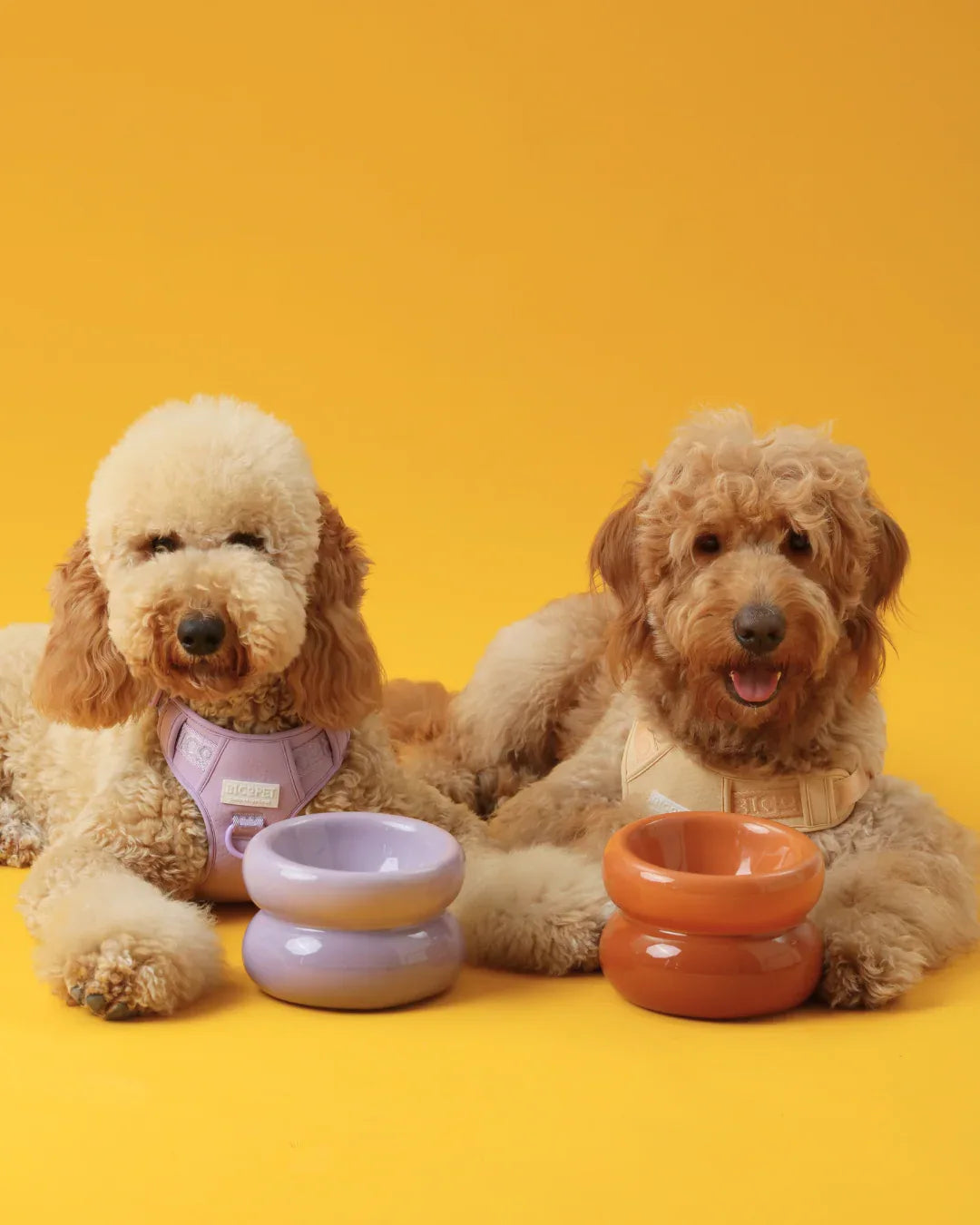 Soufflé Pet Bowl | Purple 3 - MiniPaw Luxe