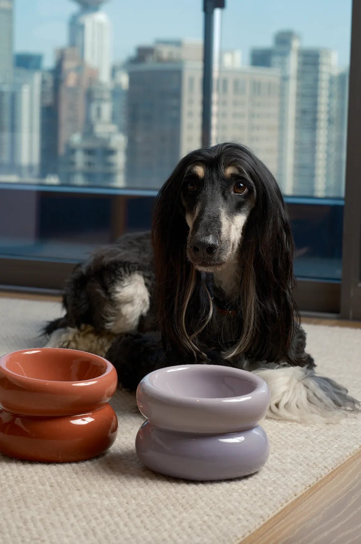 Soufflé Pet Bowl | Purple 5 - MiniPaw Luxe