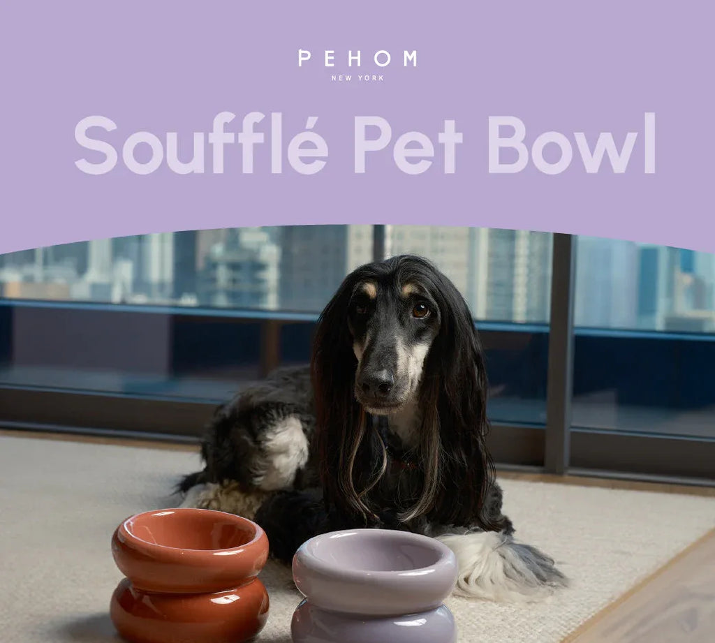 Soufflé Pet Bowl | Purple 8 - MiniPaw Luxe