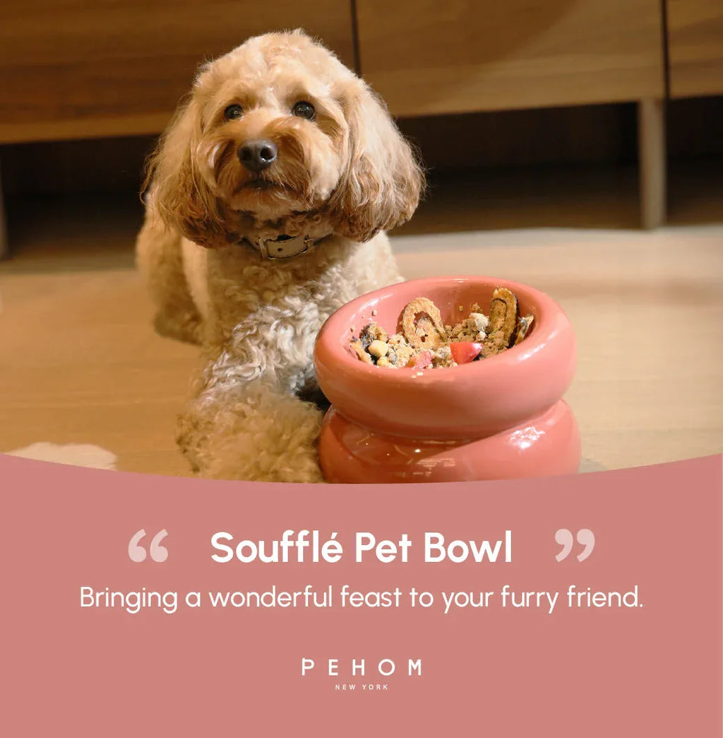 Soufflé Pet Bowl | Rose Pink 14 - MiniPaw Luxe