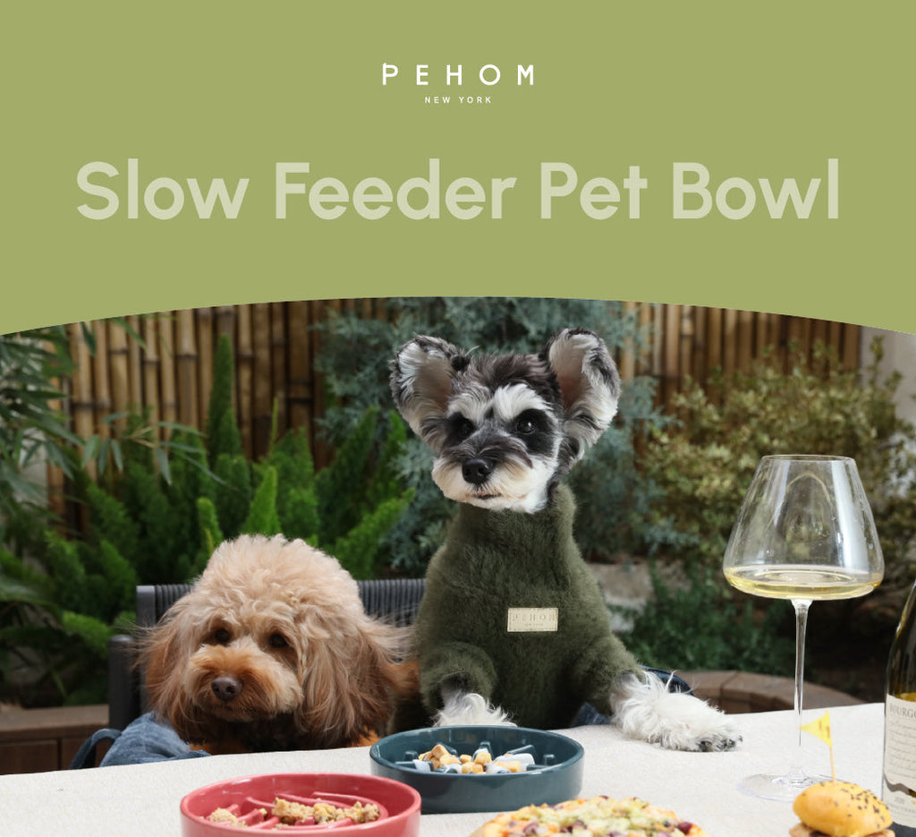 [Spark] Slow Feeder Dog Bowls - Red / Green / Blue 11 - MiniPaw Luxe