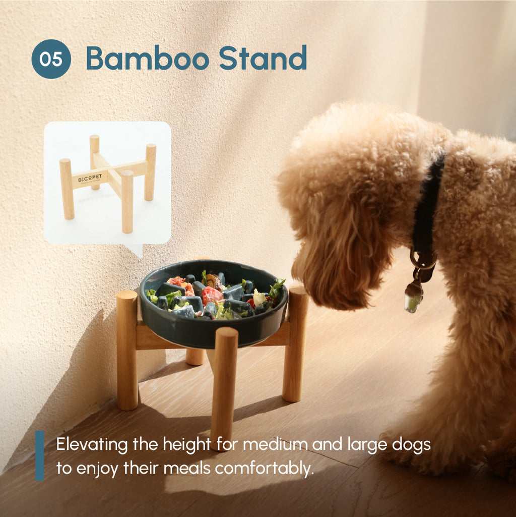 [Spark] Slow Feeder Dog Bowls - Red / Green / Blue 16 - MiniPaw Luxe