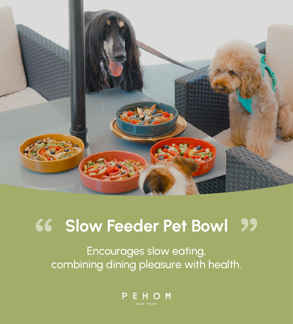 [Spark] Slow Feeder Dog Bowls - Red / Green / Blue 18 - MiniPaw Luxe