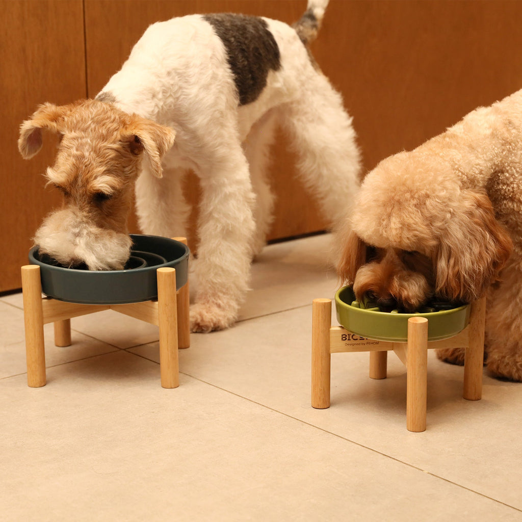 [Spark] Slow Feeder Dog Bowls - Red / Green / Blue 8 - MiniPaw Luxe