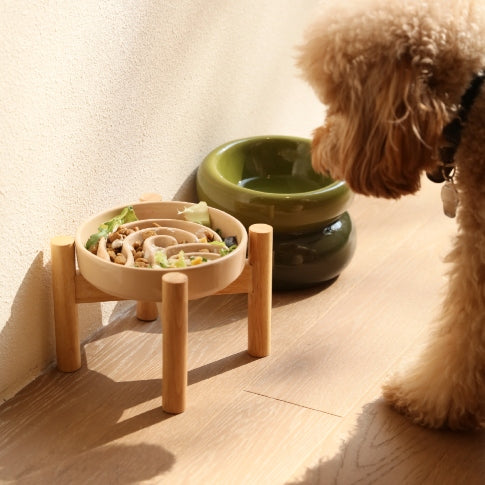 [Spark] Slow Feeder Dog Bowls - Red / Green / Blue 9 - MiniPaw Luxe