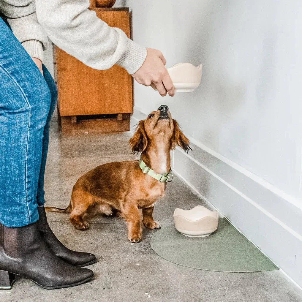 Splash Mats 4 - MiniPaw Luxe
