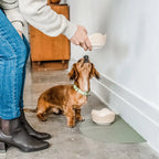 Splash Mats 4 - MiniPaw Luxe