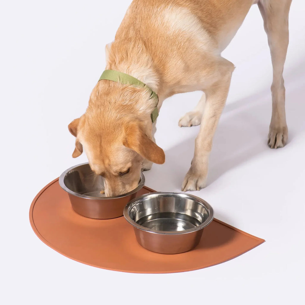 Splash Mats 5 - MiniPaw Luxe